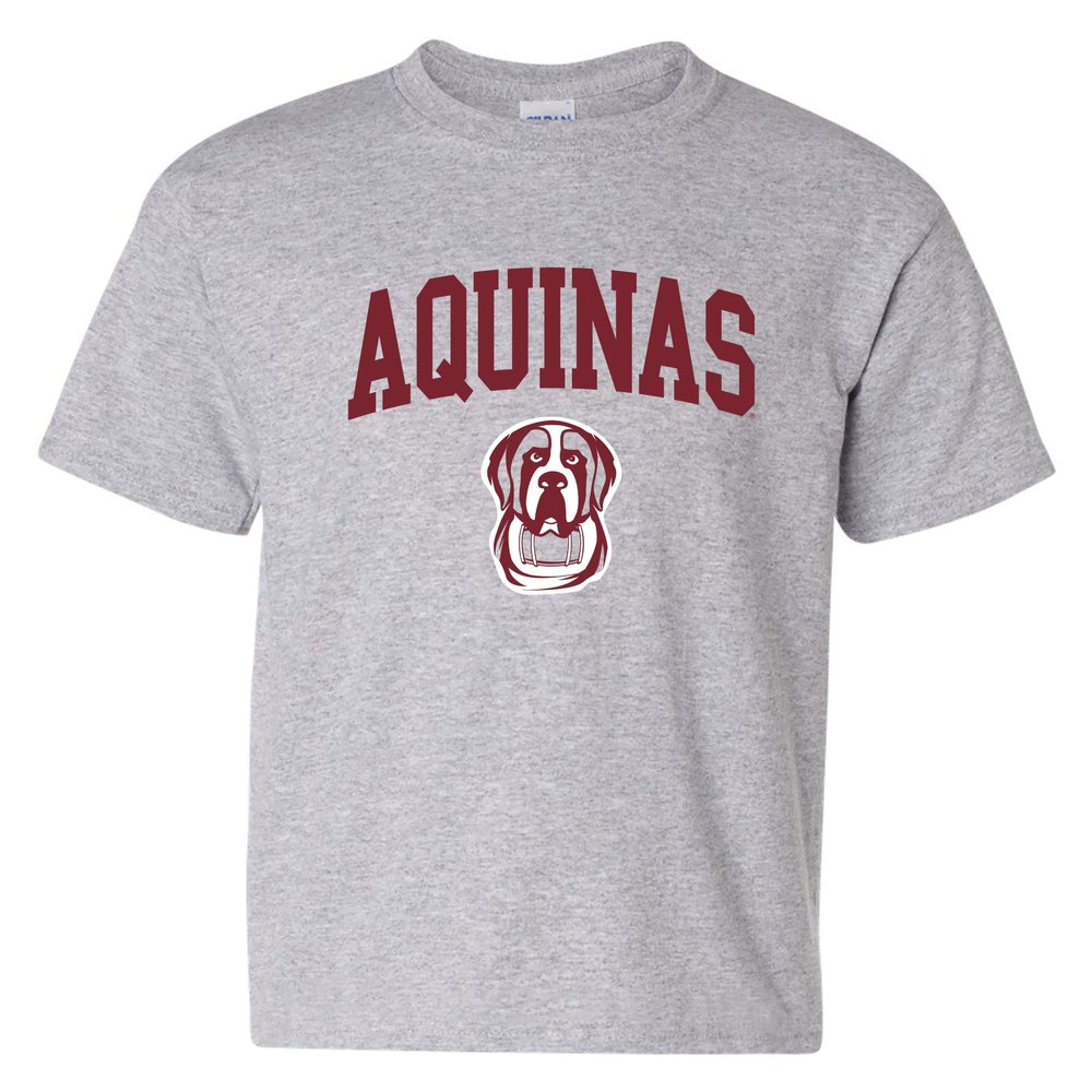 UGP Campus Apparel YS03 - Aquinas Saints Arch Logo Youth T-Shirt - Large - Sport Grey