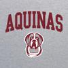 UGP Campus Apparel YS03 - Aquinas Saints Arch Logo Youth T-Shirt - Large - Sport Grey view 4