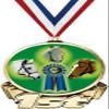 Horse Show First Place Medal, 3" Gold Horse Trophy Medal Award 10 Pack Prime view 1
