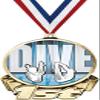 Diving First Place Medal, 3" Gold Swim Dive Team Trophy Medal Award 100 Pack Prime view 1