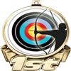 Archery First Place Medal, 3" Gold Archery Shooter Trophy Medal Award 50 Pack Prime view 2