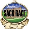 Sack Race First Place Medal, 3" Gold Sack Race Trophy Medal Award 50 Pack view 2