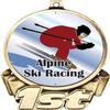Alpine Ski Racing First Place Medal, 3" Gold Downhill Skiing Trophy Medal Award 100 Pack Prime view 2