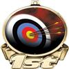 Archery First Place Medal, 3" Gold Archery Board Trophy Medal Award 50 Pack Prime view 2