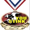 You Stink First Place Medal, 3" Gold Funny Loser Trophy Medal Award 20 Pack Prime view 1