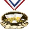 Beer Pong First Place Medal, 3" Gold Beer Pong Trophy Medal Award 50 Pack Prime view 1