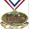 Camp First Place Medal, 3" Gold Camp Award Medal 50 Pack view 1