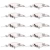 FREE FISHER Lure Blanks,Unpainted Fishing Lures,20pcs Crankbait Blanks Bodies Square Crankbait Blank Lure Baits 105mm/12.8g view 1