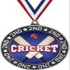 Cricket Second Place Medals, 2 3/4" Silver Cricket Trophy Medal Award 50 Pack Prime view 1