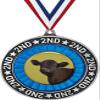 Angus Steer Second Place Medals, 2 3/4" Silver Angus Cattle Trophy Medal Award 50 Pack Prime view 1