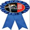 Judo Blue Rosette Ribbon, Judo Martial Arts Trophy Ribbon Award Prize, 50 Pack Prime view 1