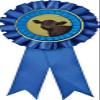 Angus Steer Blue Rosette Ribbon, Angus Cattle Trophy Ribbon Award Prize, 50 Pack Prime view 1