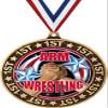Arm Wrestling 1st Place Perimeter Medal Gold, 2.75" Wrestling Prizes, Kids Arm Wrestler Trophy Medal Awards 100 Pack Prime view 1