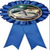 Horseshoe Blue Rosette Ribbon, Horseshoe Toss Trophy Ribbon Award Prize, 50 Pack Prime view 1