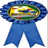 Cornhole Blue Rosette Ribbon, Cornhole Trophy Ribbon Award Prize, 50 Pack Prime view 1