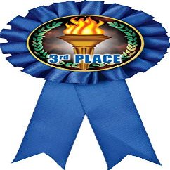 3rd Place Blue Rosette Ribbon, Third Place Trophy Ribbon Award Prize, 50 Pack Prime