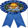 3rd Place Blue Rosette Ribbon, Third Place Trophy Ribbon Award Prize, 50 Pack Prime view 1