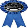 Bodybuilding Blue Rosette Ribbon, Weightlifting Trophy Ribbon Award Prize, 50 Pack Prime view 1