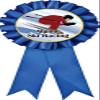 Alpine Ski Racing Blue Rosette Ribbon, Downhill Skiing Trophy Ribbon Award Prize, 50 Pack Prime view 1