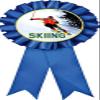 Skiing Blue Rosette Ribbon, Skiing Trophy Ribbon Award Prize, 100 Pack Prime view 1