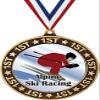Alpine Ski Racing 1st Place Perimeter Medal Gold, 2.75" Downhill Skiing Prizes, Kids Alpine Skiing Trophy Medal Awards 50 Pack Prime view 1