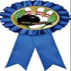 Bowling Blue Rosette Ribbon, Bowling Most Improved Trophy Ribbon Award Prize, 50 Pack Prime view 1