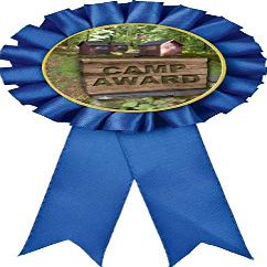 Camp Blue Rosette Ribbon, Camp Award Medal, 50 Pack Prime