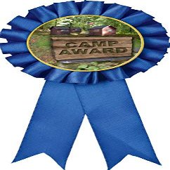 Camp Blue Rosette Ribbon, Camp Award Medal, 50 Pack Prime