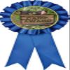 Camp Blue Rosette Ribbon, Camp Award Medal, 50 Pack Prime view 1