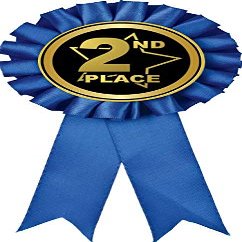 2nd Place Blue Rosette Ribbon, Second Place Trophy Ribbon Award Prize, 50 Pack Prime