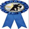 Ballroom Dance Blue Rosette Ribbon, Dancing Trophy Ribbon Award Prize, 50 Pack Prime view 1