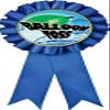 Balloon Toss Blue Rosette Ribbon, Water Balloon Toss Trophy Ribbon Award Prize, 50 Pack Prime view 1