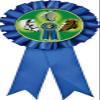 Crown Awards Horse Show Blue Rosette Ribbon, Horse Trophy Ribbon Award Prize, 100 Pack Prime view 1
