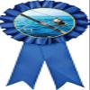 Fishing Blue Rosette Ribbon, Fishing Rod Fish Trophy Ribbon Award Prize, 10 Pack Prime view 1