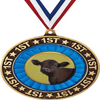 Angus Steer 1st Place Perimeter Medal Gold, 2.75" Angus Cattle Prizes, Kids Animal Trophy Medal Awards 50 Pack Prime