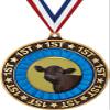 Angus Steer 1st Place Perimeter Medal Gold, 2.75" Angus Cattle Prizes, Kids Animal Trophy Medal Awards 50 Pack Prime view 1