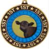 Angus Steer 1st Place Perimeter Medal Gold, 2.75" Angus Cattle Prizes, Kids Animal Trophy Medal Awards 50 Pack Prime view 2