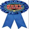 Best in Show Blue Rosette Ribbon, Best in Show Trophy Ribbon Award Prize, 50 Pack Prime view 1