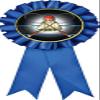 Badminton Blue Rosette Ribbon, Badminton Trophy Ribbon Award Prize, 50 Pack Prime view 1