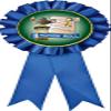Honor Roll Blue Rosette Ribbon, Honor Roll Trophy Ribbon Award Prize, 50 Pack Prime view 1