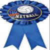 Netball Blue Rosette Ribbon, Netball Trophy Ribbon Award Prize, 50 Pack Prime view 1
