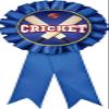 Cricket Blue Rosette Ribbon, Cricket Trophy Ribbon Award Prize, 50 Pack Prime view 1