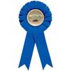 You Stink Blue Rosette Ribbon, Funny Loser Trophy Ribbon Award Prize, 50 Pack view 2