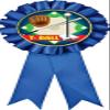 T Ball Blue Rosette Ribbon, Youth Baseball Tball Trophy Ribbon Award Prize, 50 Pack Prime view 1