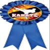 Karate Blue Rosette Ribbon, Karate Martial Arts Trophy Ribbon Award Prize, 10 Pack Prime view 1