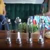 SHOP LC DELIVERING JOY Crystal Water Bottle Glass Clear Quartz with Spiritual Energy Stainless Steel Perfect for Yoga Meditation Healing Stones Birthday Christmas Gifts view 4
