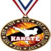 Karate 1st Place Perimeter Medal Gold, 2.75" Karate Martial Arts Prizes, Kids Karate Trophy Medal Awards 10 Pack Prime view 1