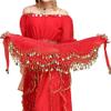 Aulufft 10 PCS Belly Dance Skirt and 20 PCS Belly Dance Wrist Ankle Bracelets Multicolor view 3