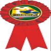 Cornhole Red Rosette Ribbon, Cornhole Trophy Ribbon Award Prize, 10 Pack Prime view 1