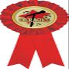 Karaoke Red Rosette Ribbon, Karaoke Singing Trophy Ribbon Award Prize, 50 Pack Prime view 1
